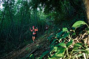 BIB: 
                            <button type="button" onclick="openModal(28123849)" class="btn btn-primary btn-sm float-right btn-popup" data-toggle="modal" data-target=".modal-high-quality">
                        <i class="fas fa-shopping-cart"></i> Add to Cart
                    </button>
                                            <button type="button" onclick="isThisMe(28123849, true)" class="btn btn-success btn-sm float-right btn-popup btn-isme hidden" data-toggle="tooltip" data-placement="bottom" title="นี่คือรูปของคุณใช่ไหม คลิกที่นี่เพื่อเอาเข้าอัลบั้ม">
                        <i class="fas fa-plus"></i> Add to album
                    </button>
                    <button type="button" onclick="isThisMe(28123849, false)" class="btn btn-warning btn-sm float-right btn-popup btn-isnotme hidden">
                        <i class="fas fa-ban"></i> Remove from album
                    </button>